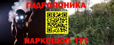сатива Беслан