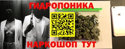 гидропоника Бийск