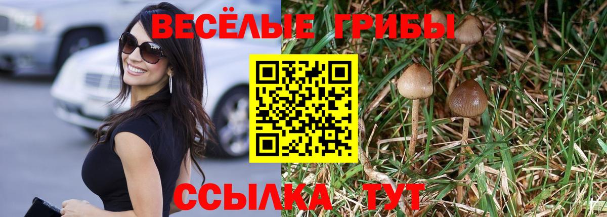 Псилоцибиновые грибы ЛСД Зеленогорск