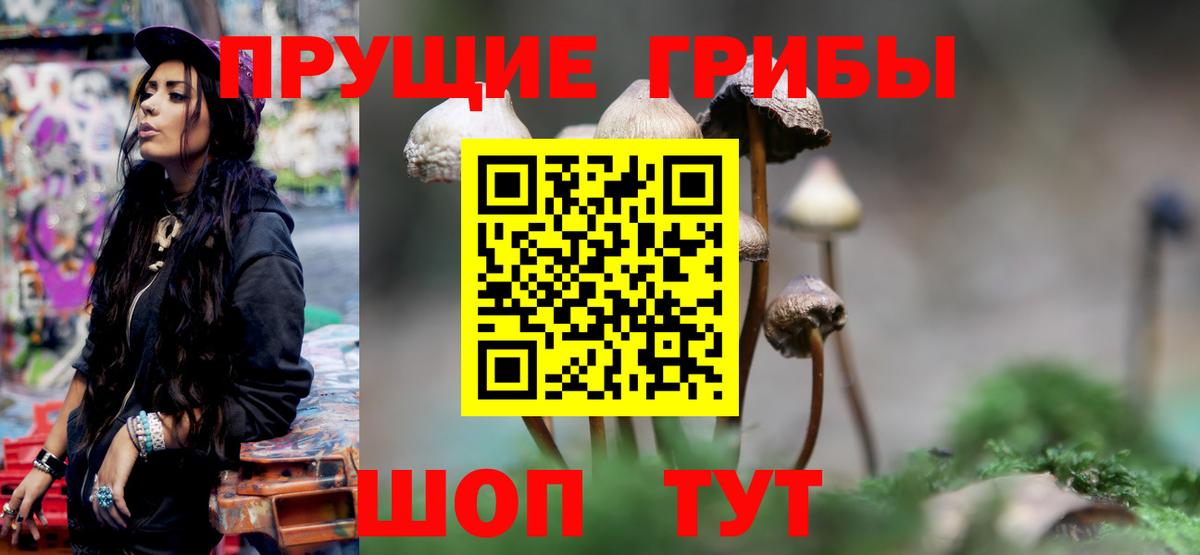 Зеленогорск  Псилоцибиновые грибы мухоморы  Вход с VPN 