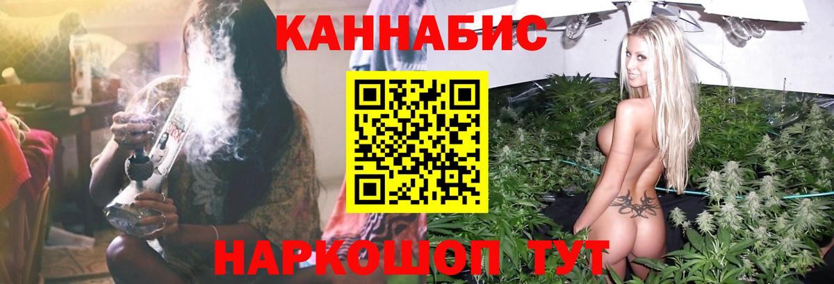 Конопля семена  Вход с VPN  Зеленогорск  Каннабис VHQ  Каннабис OG Kush 